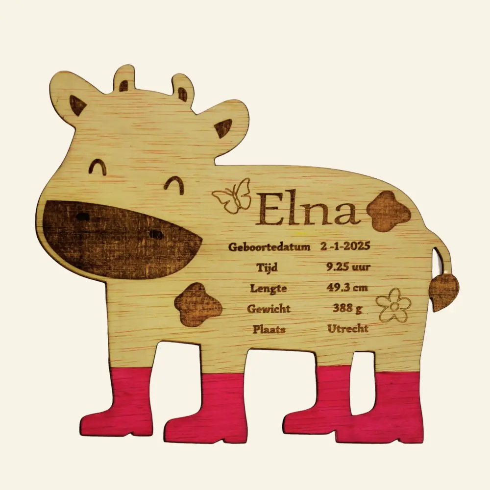 Gepersonaliseerd Geboortecadeaus hout